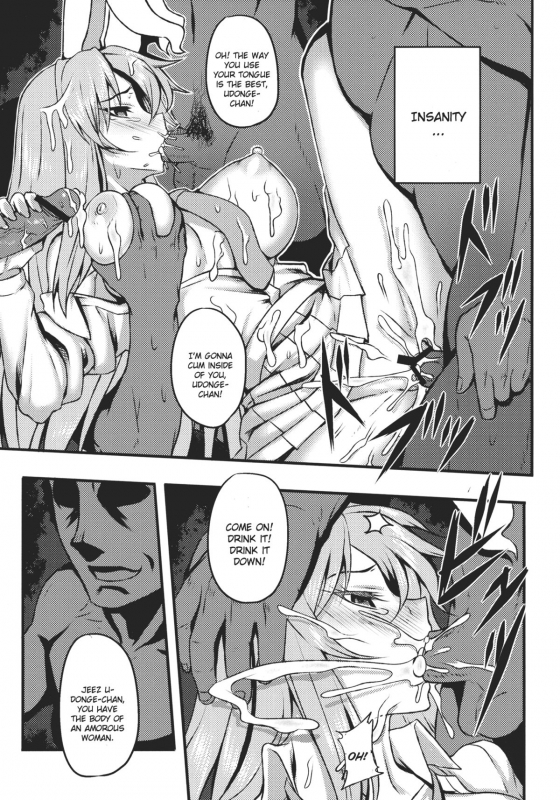 (Reitaisai 9) [Avion Village (Johnny)] Shigy_16