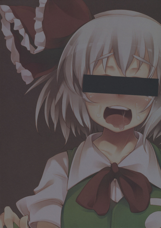 (Reitaisai SP2) [Hannama (Mitsugi, Soine)] Shinreibyou ana EX (Touhou Project) [English] [desu_13