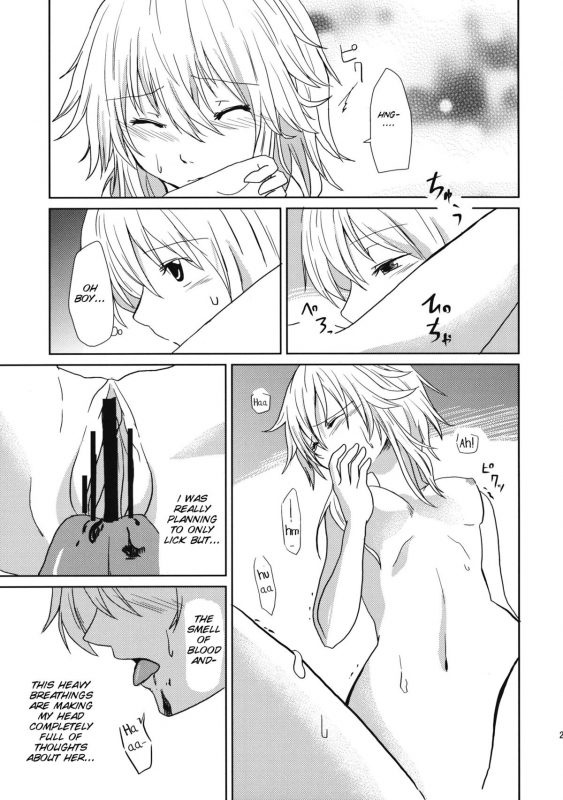 (Reitaisai SP2) [Tatakai no Kiseki (Senyuu)] oo Play ga Mitaindesu!! (Touhou Project) [English] [SMDC]_23