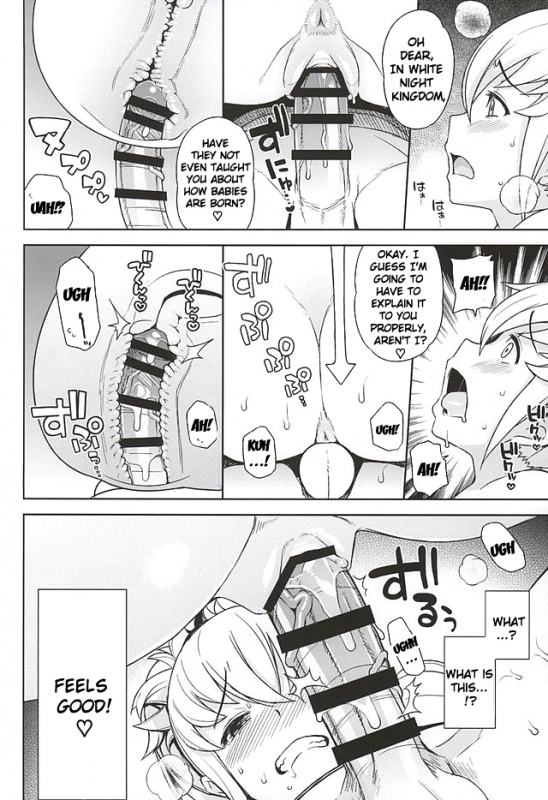 (SC2015 Autumn) [Funi Funi Lab, Bronco Hitoritabi (Various)] MIDNIGHT PRINCESSES (F_08