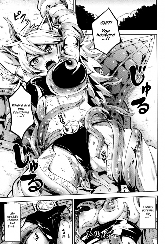 (SC2015 Winter) [Wareme (Koppe)] Shishi Ane (Akame ga Kill!) [English]_01