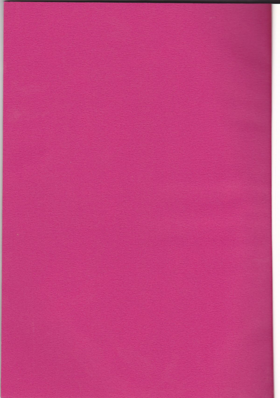 (SC30) [Kodomokeibitai (Eiki Eiki)] Ura Athrun. ~Athrun ga Onna n_01