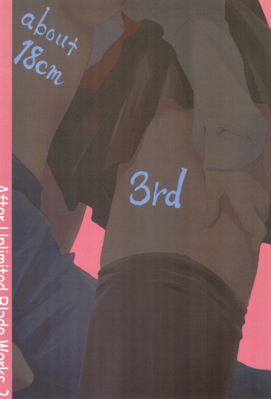 (SC32) [Inu Ringo, Nilitsu Haihan (Nilitsui)] About18cm 3rd (Fatestay night) [English] [CGrascal]_23