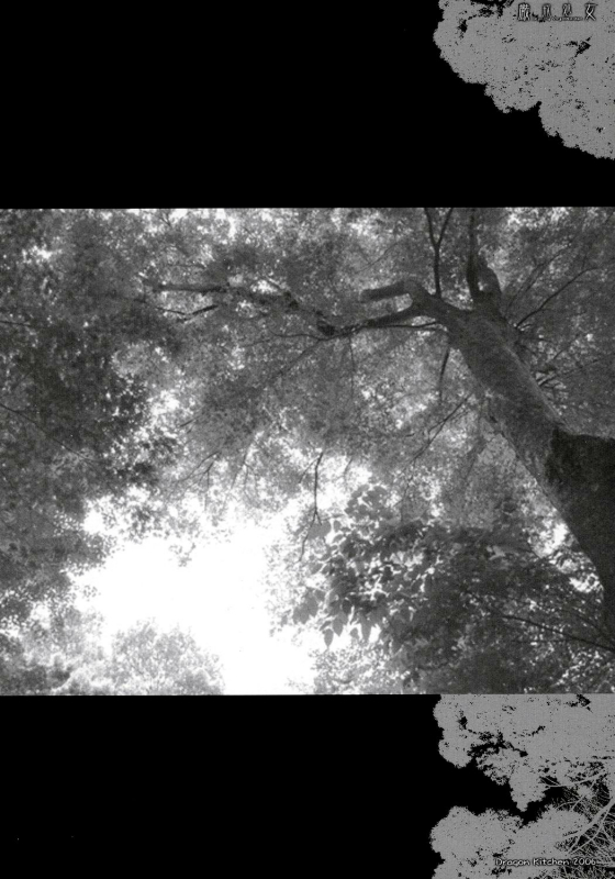 (SC33) [Dragon Kitchen (Sasorigatame, Kanibasami)] Genkai Shojo (Seiken Densetsu 3) [English] [Sla_02