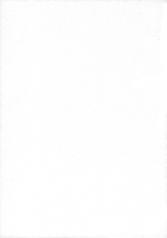 (SC34) [Sekitou (Sou)] Primal. (Touhou Project) [English] [Nietz]_17