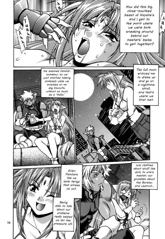 (SC34) [Studio Katsudon (Manabe Jouji)] Kemonotachi no Bansan (Mahou Shoujo Lyrical Nanoha) [English]_13