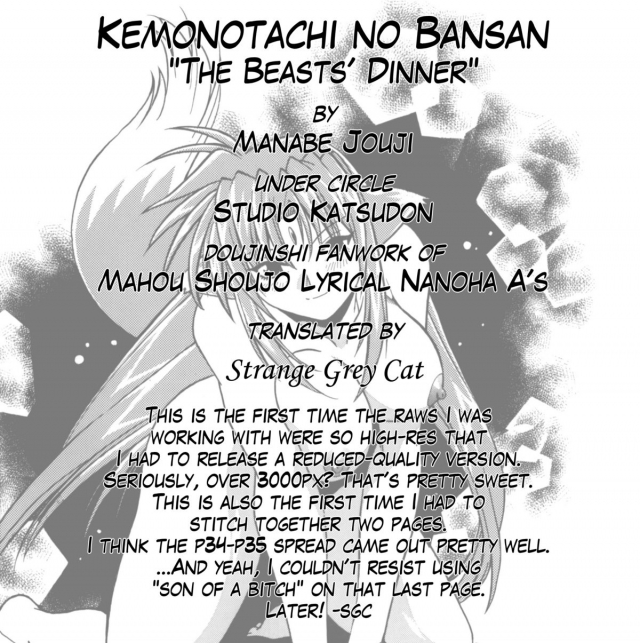 (SC34) [Studio Katsudon (Manabe Jouji)] Kemonotachi no Bansan (Mahou Shoujo Lyrical Nanoha) [English]_39