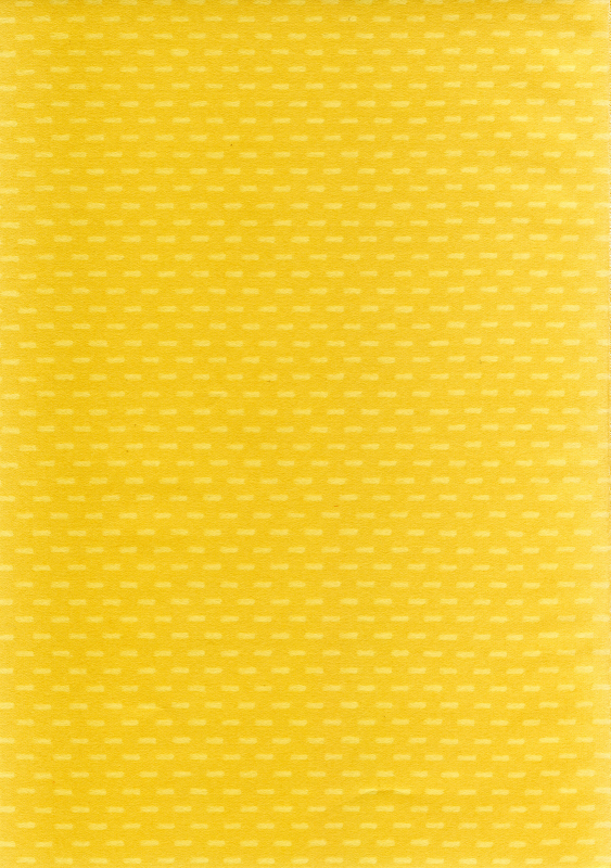 (SC36) [Yakiniku Teikoku (Hayate Megumi)] Hanikamu Hachinosu (Tengen Toppa Gurren Lagann) _02