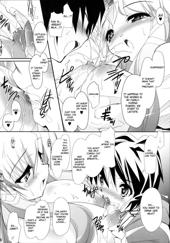 (SC37) [Misty Isle (Sorimura Yoji)] Ichigo Miruku No Yuuwaku (Zero No Tsukaima Fanbook) [English] _04