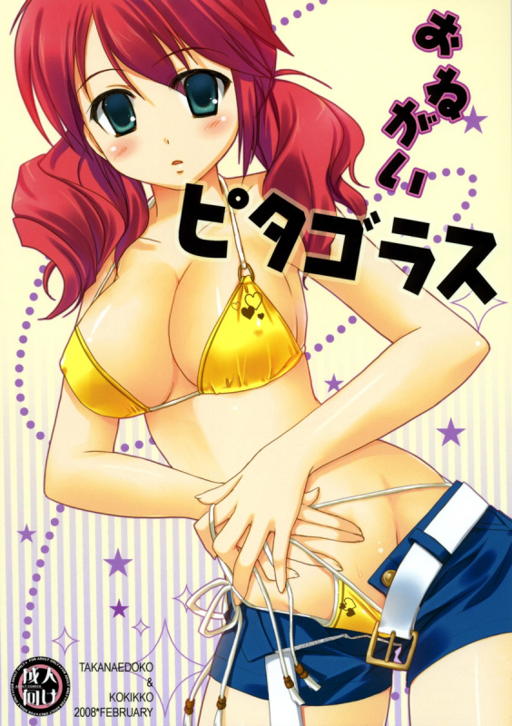 (SC38) [Takanaedoko, Kokikko (Takanae Kyourin, Sesena Yau)] Onegai Pythagora_17