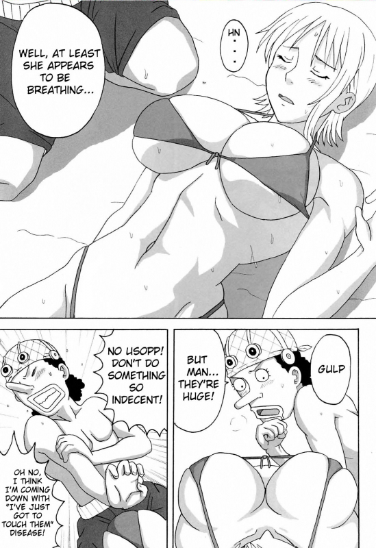 (SC39) [Naruho-dou (Naruhodo)] Ii Nami Yume Kibun  Good Nami Dream Feeling (One Piece) [Englis_05