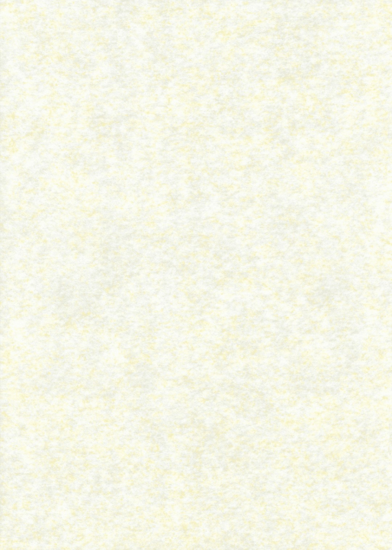 (SC39) [Uminari (Narumi)] Ali Pro Sono 1  Alice Pro The First (Touhou Project) [English] =LWB=_01