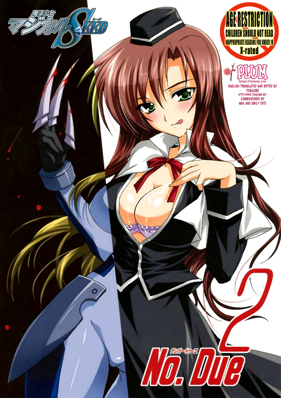 (SC40) [PLUM (Kanna)] Mahou Shoujo MAGICAL SEED No.Due (Mahou Shoujo Lyrical Nanoha) [English] [Tonig_00