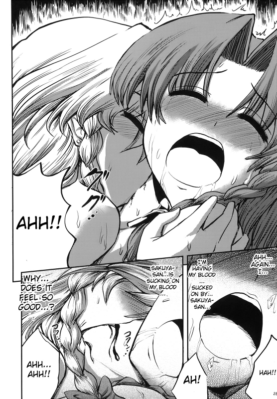 (SC41) [VISIONNERZ (Miyamoto Ryuuichi)] Maid to_29