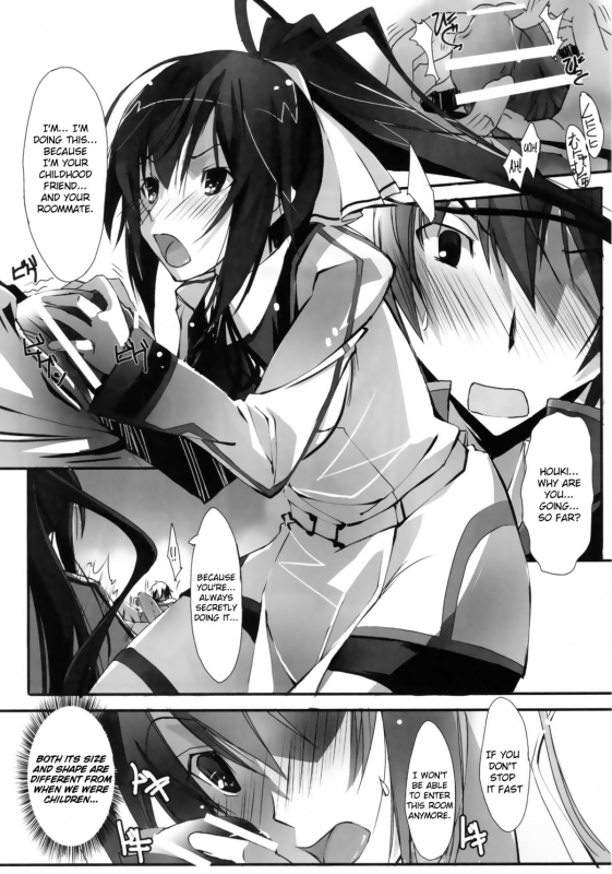 (SC50) [RYU-SEKI-DO (Nagare Hyo-go)] LS Lovers Striker (IS Infinite Stratos) [English]_04