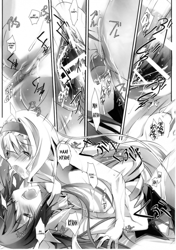 (SC50) [RYU-SEKI-DO (Nagare Hyo-go)] LS Lovers Striker (IS Infinite Stratos) [English]_20