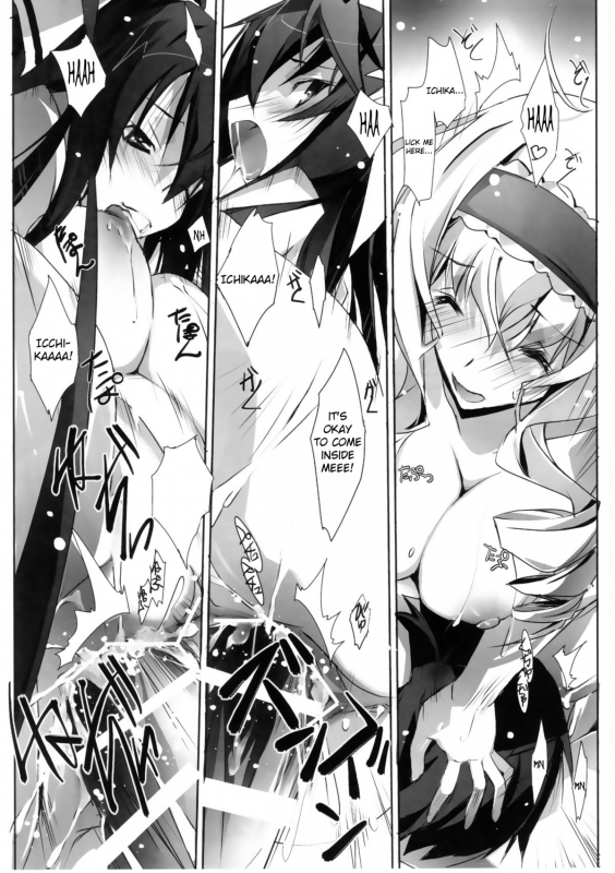 (SC50) [RYU-SEKI-DO (Nagare Hyo-go)] LS Lovers Striker (IS Infinite Stratos) [English]_28