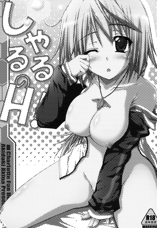 (SC51) [Mugen@WORKS (Akiduki Akina)] Charles no H! (IS Infinite Stratos) [English] [life4Kaoru]_02