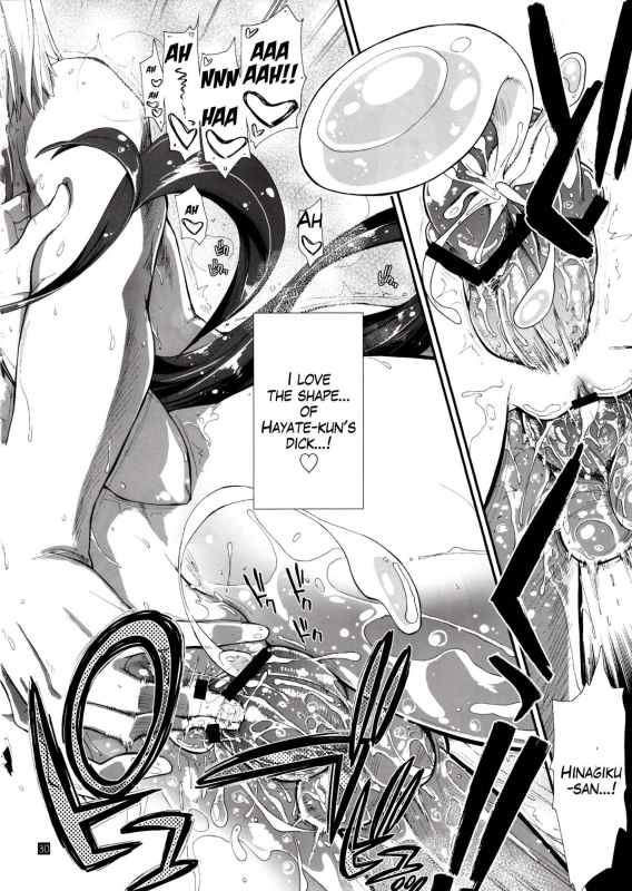 (SC59) [Girigiri Nijiiro (Kamino Ryu-ya)] Nan nano yo! (Hayate no Gotoku!) [English] [Sydin]_28