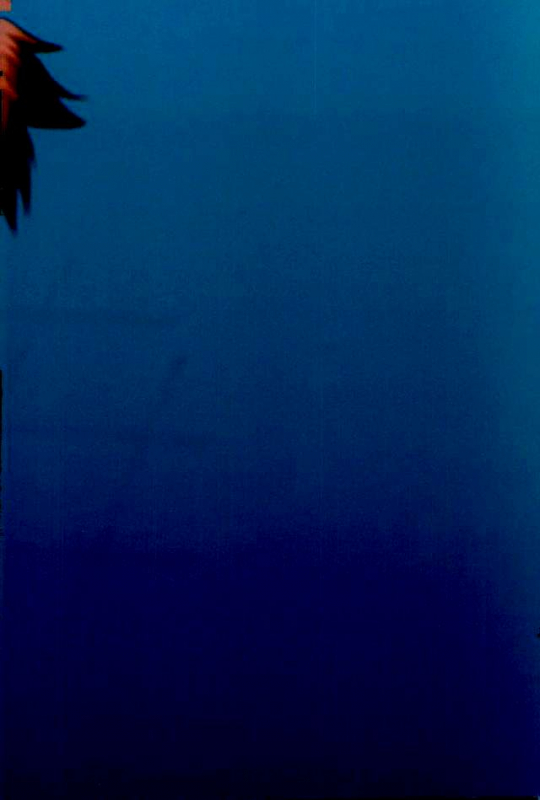 (SPARK12) [Fuzainoyamada (Fuzai Yumoto)] Danshi Kinsei  Boys Prohibited (Boku no Hero Aca_31