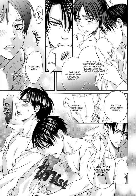 (SPARK8) [color cube (Yomi)] SIGN (Shingeki no Kyojin) [English] [Baka Dumb Aho Scans]_17