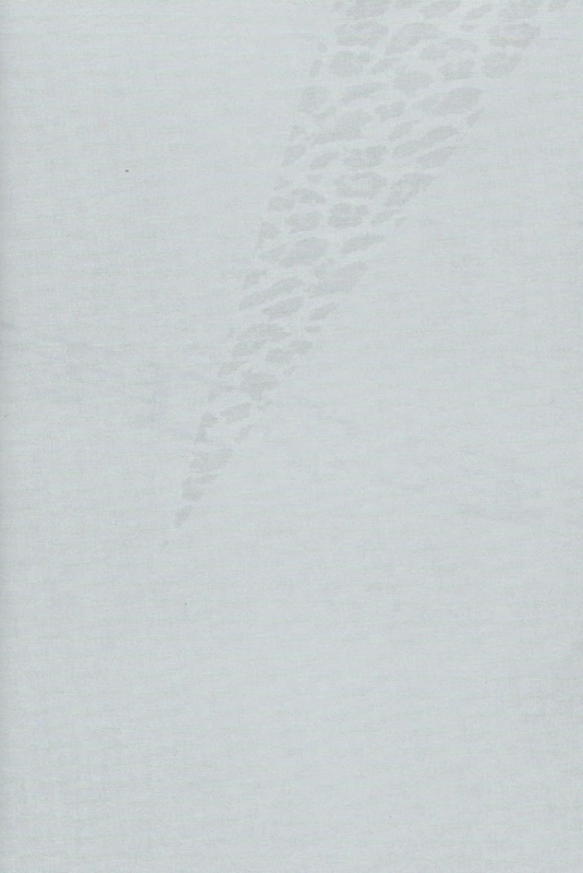 (SPARK8) [inumog (Fujino, Marumo)] Kimi to Nekomimi (Kuroko no Basuke) [English] [RGOTE Scans]_01