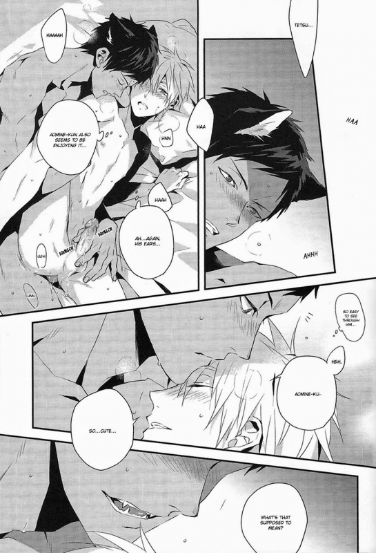 (SPARK8) [inumog (Fujino, Marumo)] Kimi to Nekomimi (Kuroko no Basuke) [English] [RGOTE Scans]_16