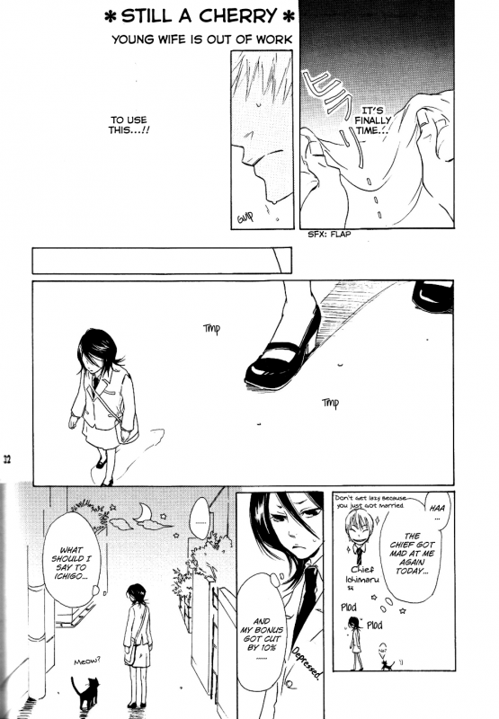 (SUPER14) [PONCHEES (KARI) (Irohane Sui)] STRAWBERRY ON THE SHORTCAKE (BLEACH) [English] [boroi.heya]_31