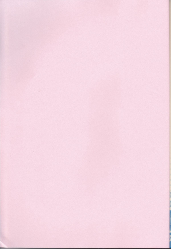 (SUPER19) [YUIMARI Z! (Aizawa Yuito)] Lovely Fighter (Sengoku Basara) [English] [biribiri]_01