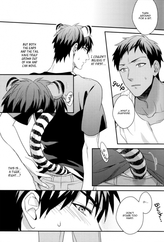 (SUPER22) [PureSlider (Matsuo)] HEY! ANIMAL BOYS!! (Kuroko no Basuke) [English]_05