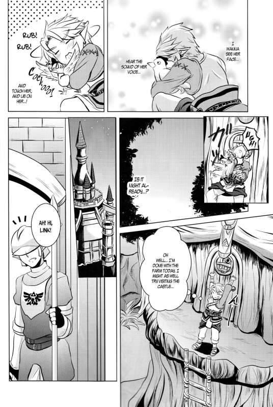 (SUPER25) [Sakurakan (Kaidou Mizuki)] Ameiro no Jikan  Amber Times (The Legend of Zelda) [English] _05