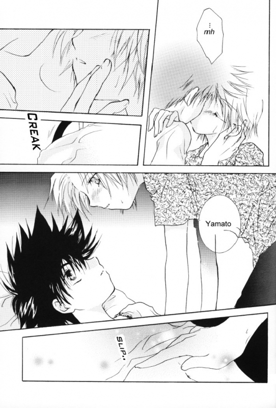 (SUPERKansai8) [SECTION E (Hirose Yukiya)] SUNSHINE and MOONLIGHT (Digimon Adventure 02)_13