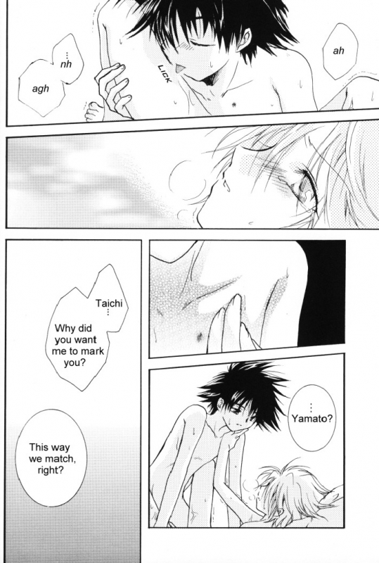 (SUPERKansai8) [SECTION E (Hirose Yukiya)] SUNSHINE and MOONLIGHT (Digimon Adventure 02)_16