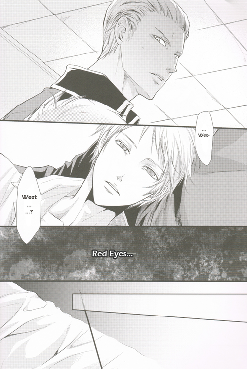 (Sekai Kaigi 2) [FIZZCODE (Satoh Nishiki)] AnotherDark (Axis Powers Hetalia) [English]_06