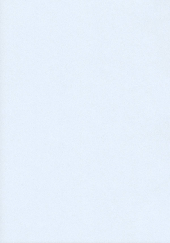 (Shin Touhou Kamuisai) [KOTI (A Toshi)] Tsumi Momiji (Touhou Project) [English] [CGrascal]_01