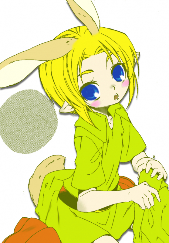 (Shota Scratch 10) [Usamimi Zukin (Kosuzu)] Mayonaka no Naisyo (The Legend of Zelda) [En_02