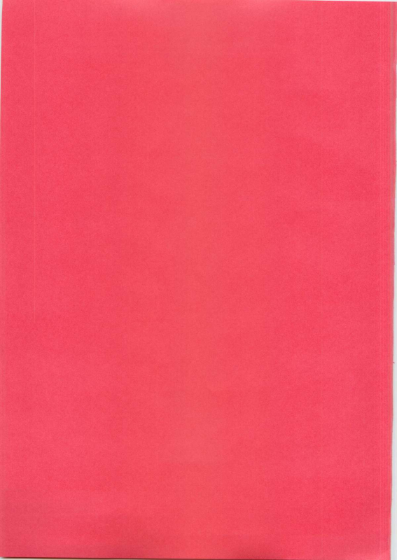 (Shota Scratch 16) [Ash Wing (Makuro)] Usa Nyan [English] =SW=_21