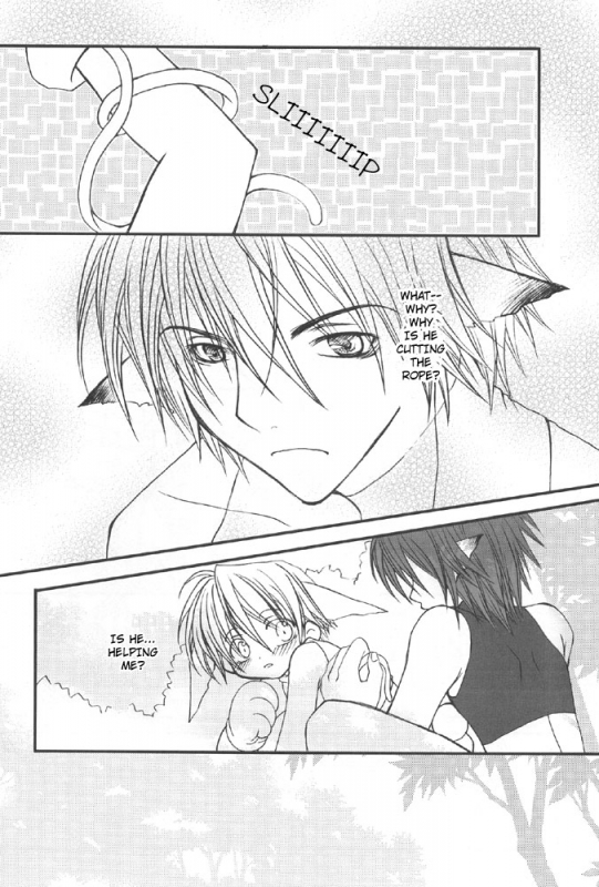 (Shotaket 9) [xxlazuli (Yoshino Azuma)] Ninjin Daisuki Usagi-tan  The Rabbit Who Loves Carr_07