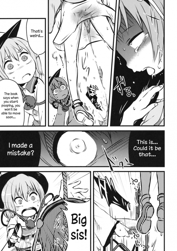 (Shuuki Reitaisai 2) [02 (Harasaki)] Happy Birthday My Sister (Touhou Project) [English]_09