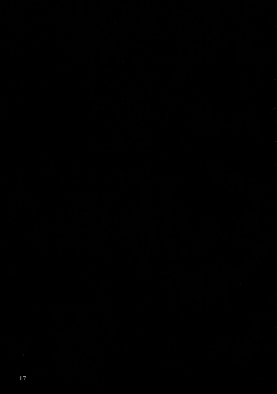 (Shuuki Reitaisai 2) [Hakuginmokusei (Poshi)] Alice ni Yokubou Decoration (Touhou Project) [Eng_15