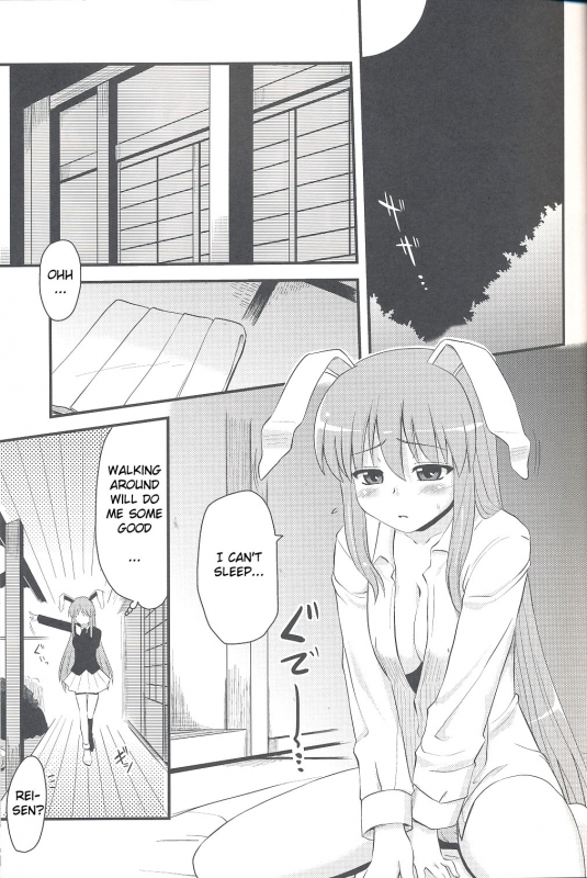 (Touhou Suukei Sai) [Shin Hijiridou Honpo (Hijiri Tsukasa)] Usagi no Miru Yume (Touhou Pro_03