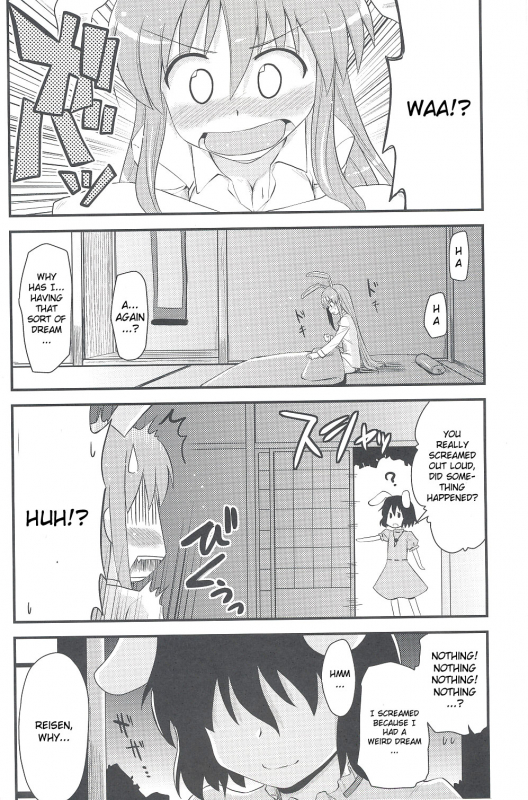 (Touhou Suukei Sai) [Shin Hijiridou Honpo (Hijiri Tsukasa)] Usagi no Miru Yume (Touhou Pro_08
