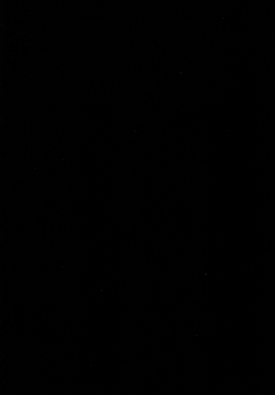 [100yenMoFA (Mirino)] Kokumaro Youmu (Touhou Project) [English] =TV= [Digital]_03