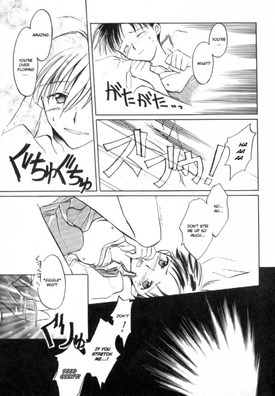 [ANNA MILLER] Fresh Strawberries[evangelion] english_09