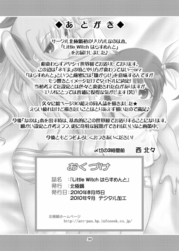 [ARCTIC PAN] Little Witch Harassment (Mahou Shoujo Lyrical Nanoha) [English] =Team Vanilla=_28