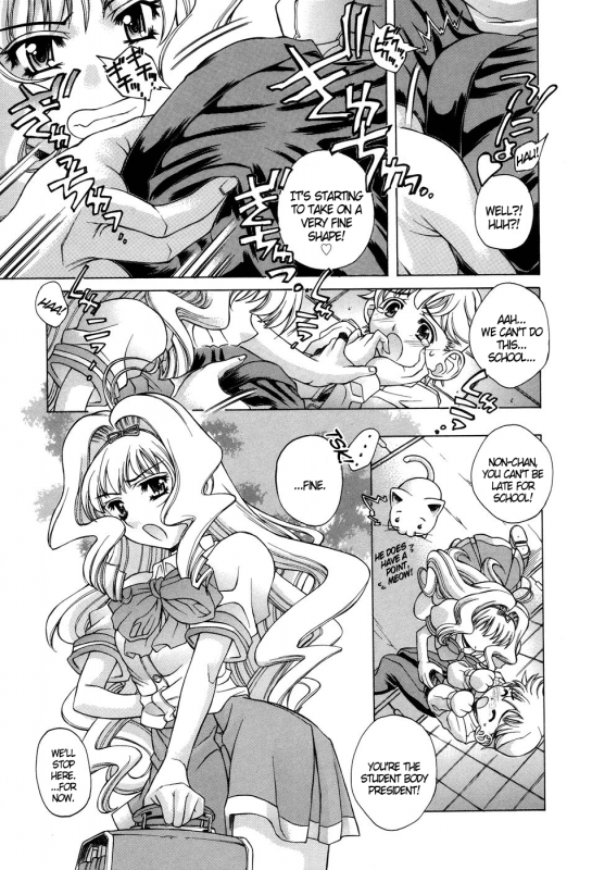 [Akitsuki Hirozumi] Ane Ane Mix [English] [DGB.]_030