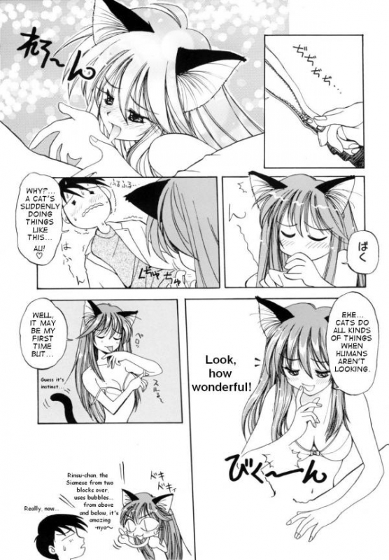 [Amaori Tatsuki] Tatatte Nyan Nyan [English]_11