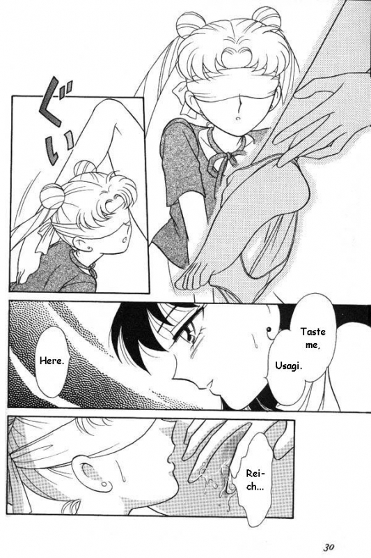 [Anthology] Lunatic Party 6 (Bishoujo Senshi Sailor Moon) [English]_030