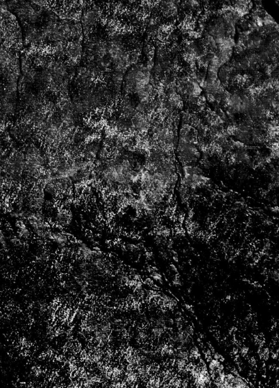 [Bronco Hitoritabi (Uchi-Uchi Keyaki)] Otome Ninpouchou Shoujo Sange (Senran Kagura) [_02