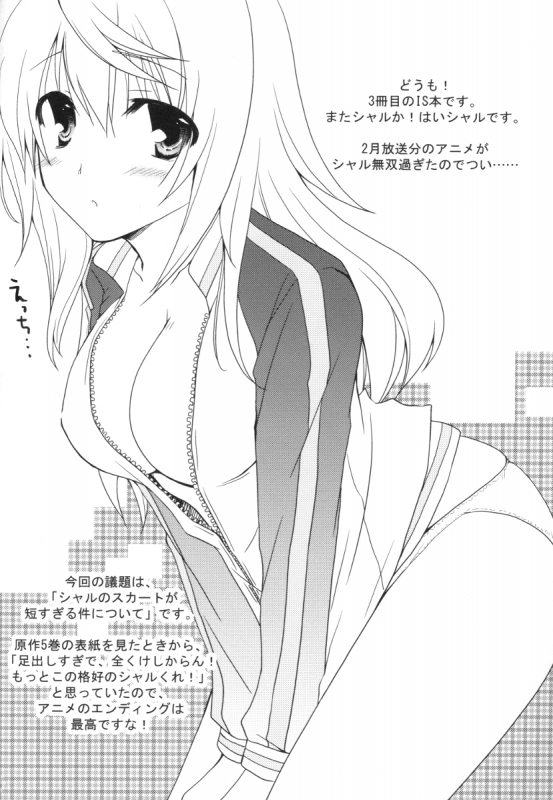 [CHAGASHISAIBAN (Yamabuki Mook)] MINI! (IS Infinite Stratos) [English] [kibitou4life]_02